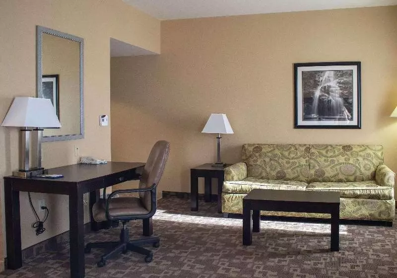 キングサイドベッドのスタンダードワンルーム, Hampton Inn & Suitesknoxville/north I75
