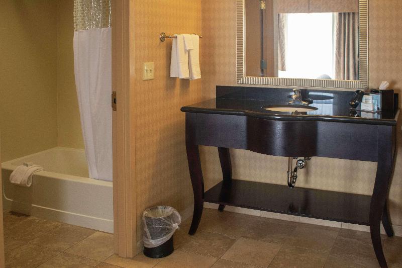 Standard Stúdiószoba Franciaággyal King Size, Hampton Inn & Suitesknoxville/north I75
