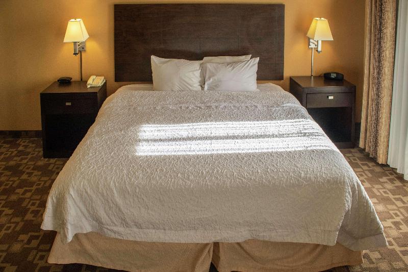 استودیو استاندارد با تخت کینگ, Hampton Inn & Suitesknoxville/north I75