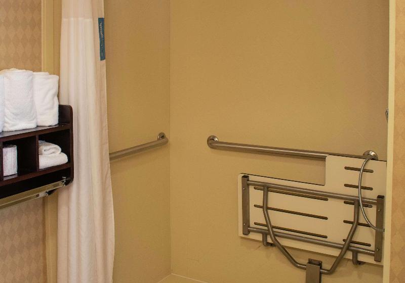 استودیو استاندارد با تخت کینگ, Hampton Inn & Suitesknoxville/north I75