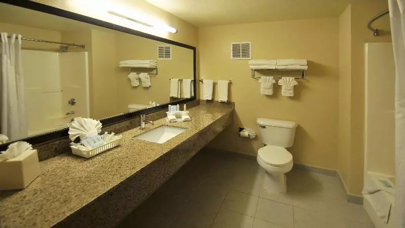 キングサイズベッドのスイートルーム, Holiday Inn Express Hotel & Suites Littleton, An Ihg