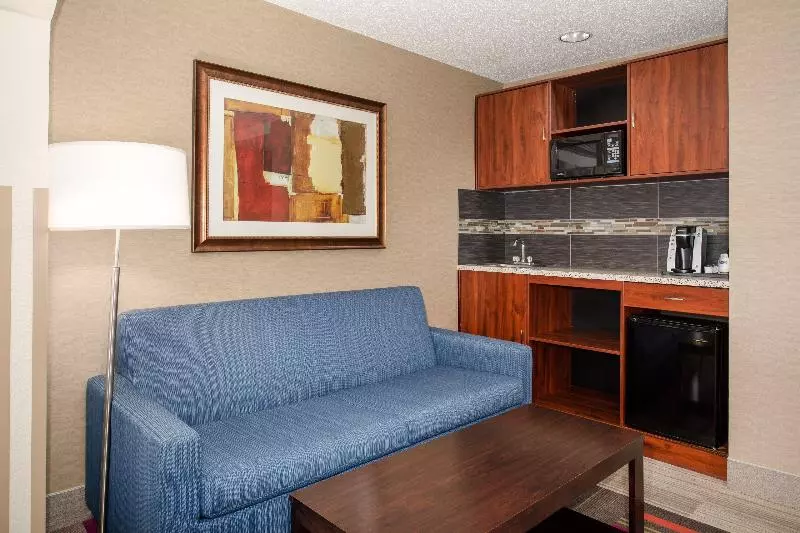 キングサイズベッドのスイートルーム, Holiday Inn Express Hotel & Suites Littleton, An Ihg