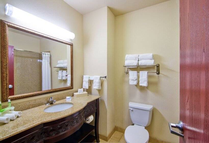 스탠다드 룸, Holiday Inn Express Hotel & Suites Terrell, An Ihg