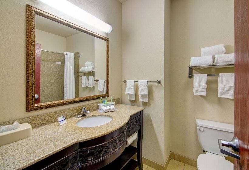 스위트, Holiday Inn Express Hotel & Suites Terrell, An Ihg