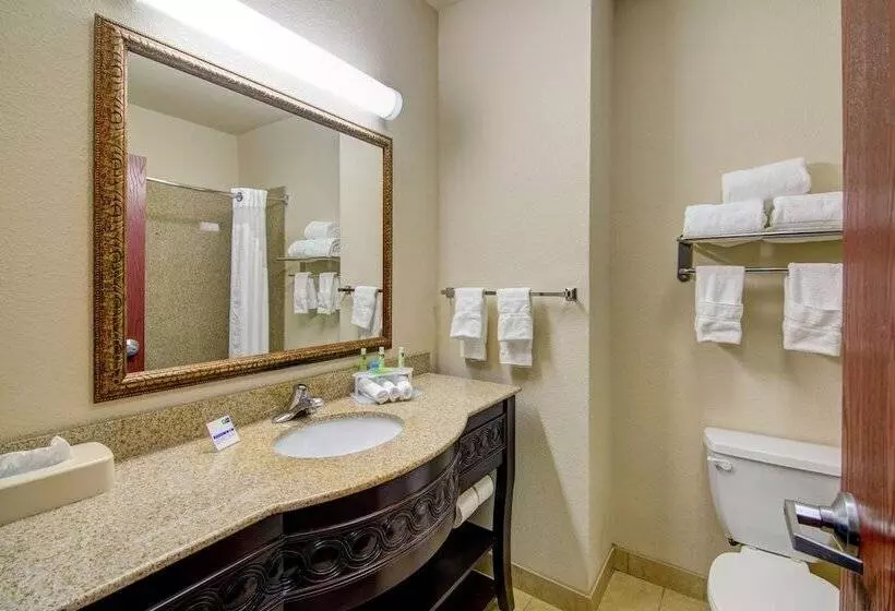 Sviitti, Holiday Inn Express Hotel & Suites Terrell, An Ihg