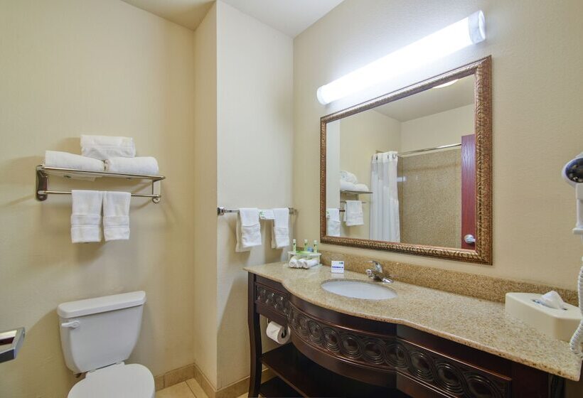 Люкс, Holiday Inn Express Hotel & Suites Terrell, An Ihg