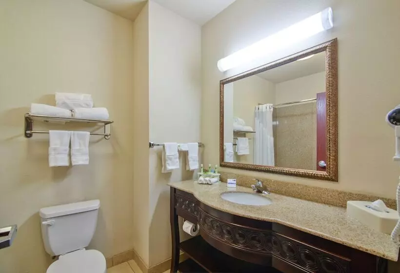 Sviitti, Holiday Inn Express Hotel & Suites Terrell, An Ihg