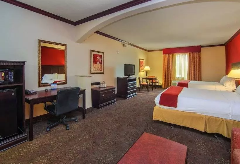 Sviitti, Holiday Inn Express Hotel & Suites Terrell, An Ihg