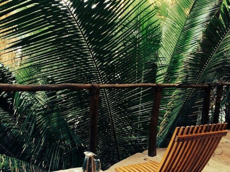 可观景的套房, Imanta Resorts Punta De Mita