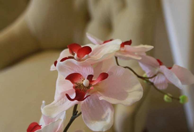 سوییت, Intersur Recoleta