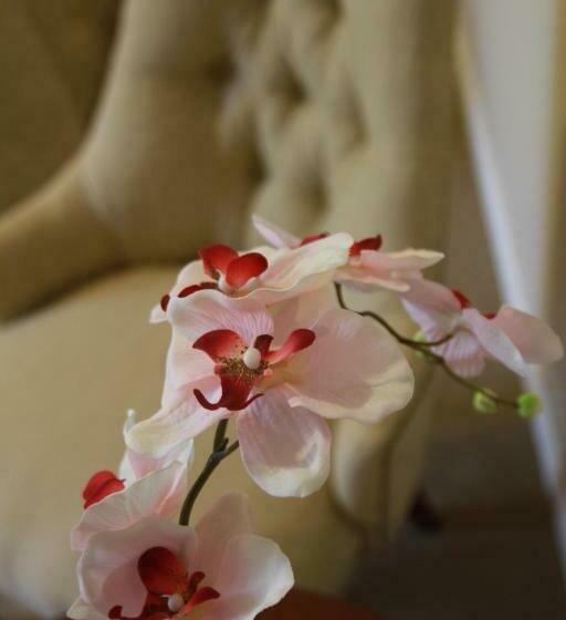 سوییت جونیور, Intersur Recoleta