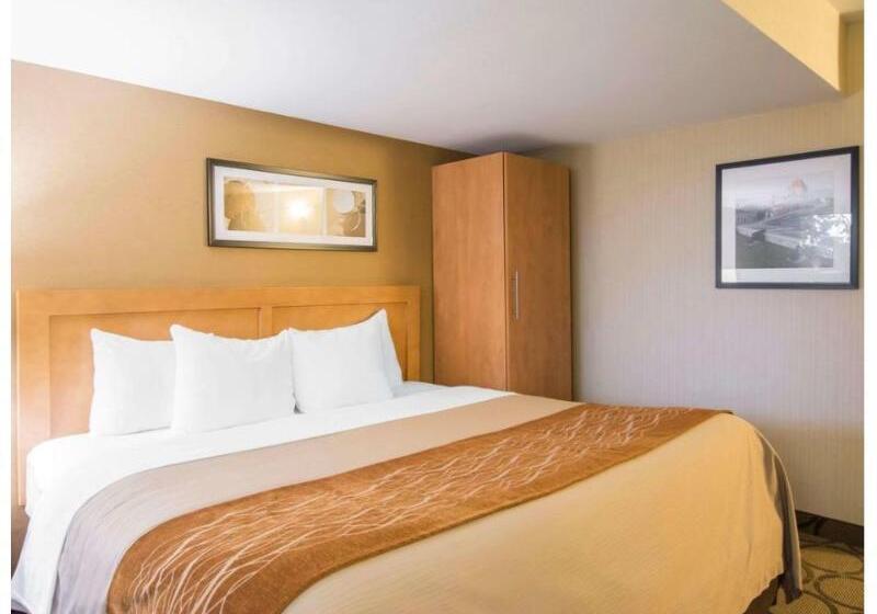 스탠다드 룸, Jinjiang Metropolo Hotel Classiq Ymca People Square