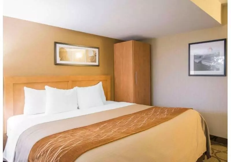 اتاق استاندارد, Jinjiang Metropolo Hotel Classiq Ymca People Square