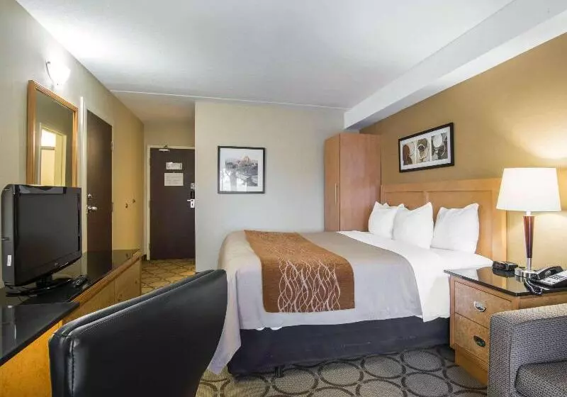اتاق استاندارد, Jinjiang Metropolo Hotel Classiq Ymca People Square
