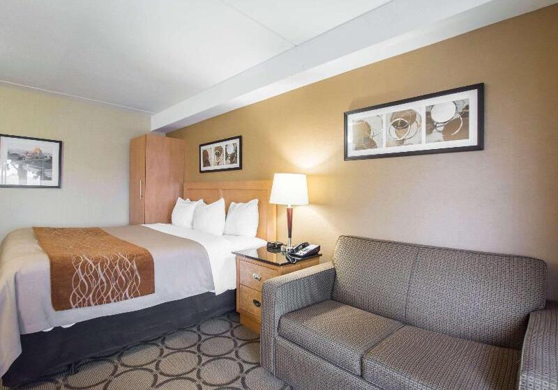 스탠다드 룸, Jinjiang Metropolo Hotel Classiq Ymca People Square