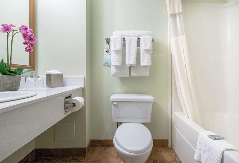 Suite mit Hydromassage, Service Plus Inns And Suites Calgary