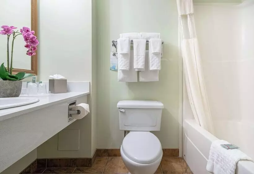 Sviitti Poreallas, Service Plus Inns And Suites Calgary