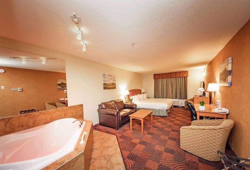 ハイドロマッサージバス付きスイート, Service Plus Inns And Suites Calgary