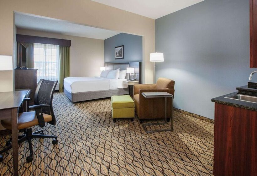 스위트, Wingate By Wyndham Roseville/detroit