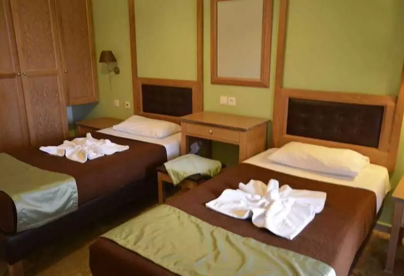 Standard-studio, Irene Apartments