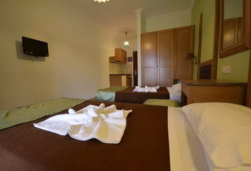 Standard-studio, Irene Apartments