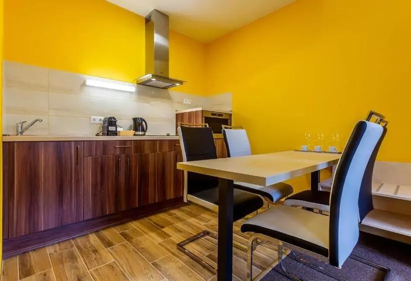 آپارتمان سوپریور 1 خوابه, Hostel Mayer Superior Veszprem