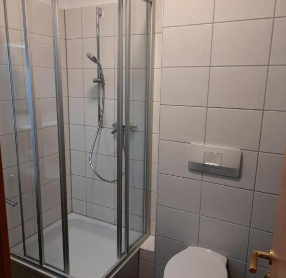 싱글 디럭스 룸, Gasthof Goldener Hirsch