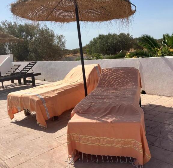 חדר סטנדרט נוף לבריכה, Maison D Hote Domaine El Manar