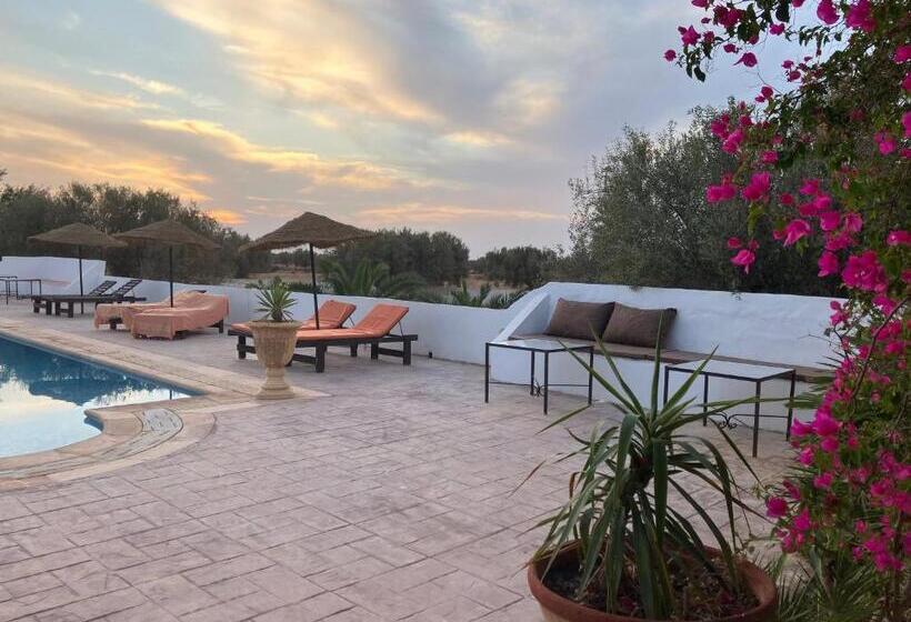 חדר סטנדרט נוף לבריכה, Maison D Hote Domaine El Manar