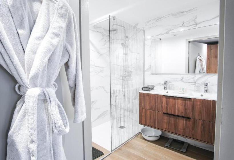 חדר סטנדרט עם טרסה, Villa Caroline, Lac D Annecy