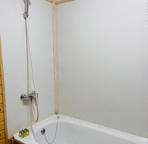 اتاق استاندارد با چشمانداز کوهستان, Belvedere Karpaty Panorama