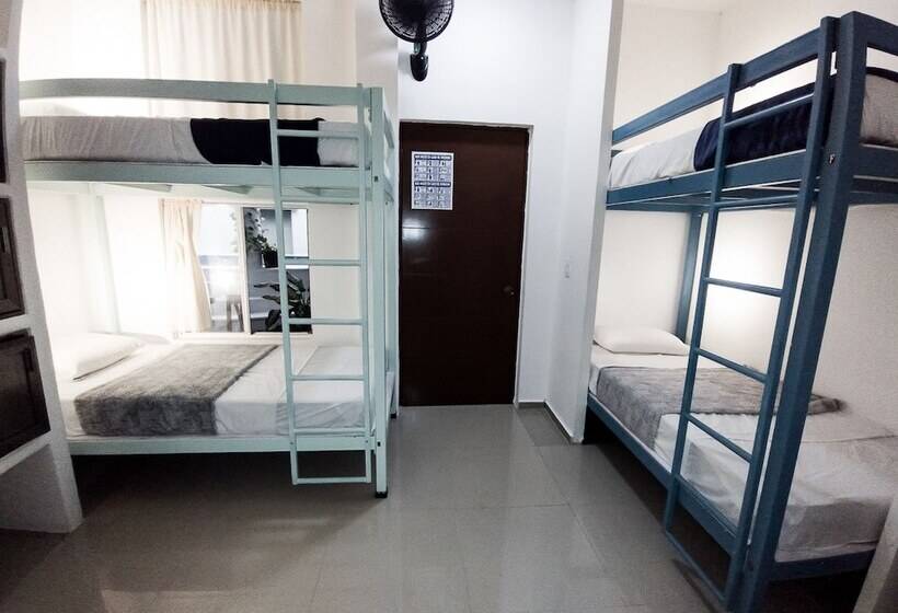 ルームシェアのワンベッド, Hostal Lezzoto 2.5 Beach   Hostel