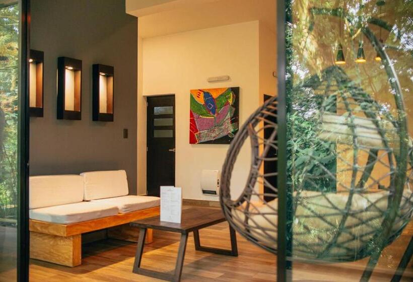 جناح مطلّ علي الحديقة, Casa 1800 Cerro Verde