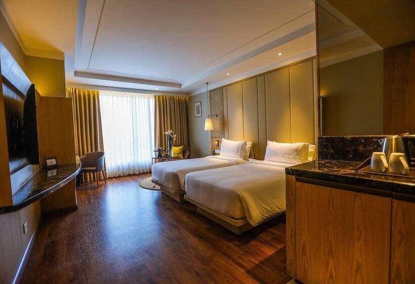 اتاق سوپریور, Radisson Bhopal