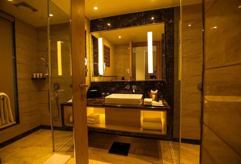 エクゼクティブルーム, Radisson Bhopal