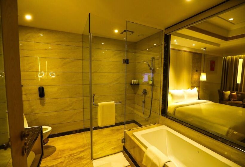 ジュニアスイート, Radisson Bhopal