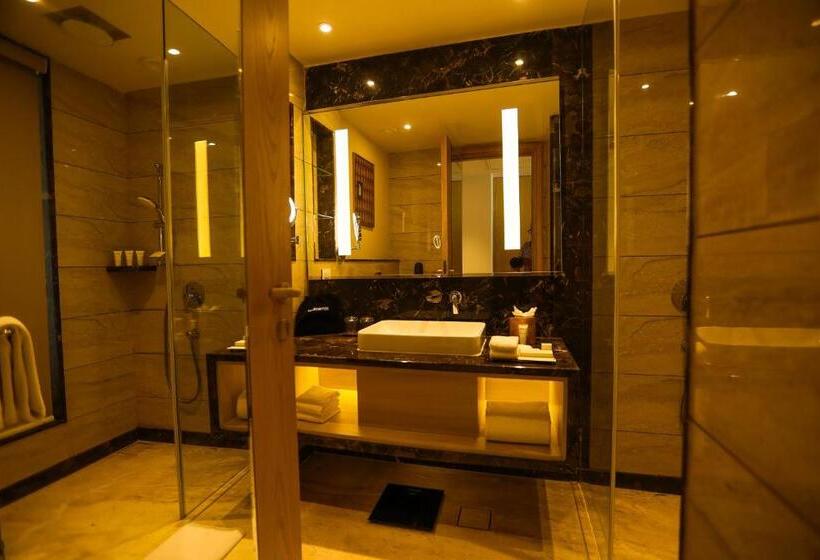 اتاق اجرایی, Radisson Bhopal