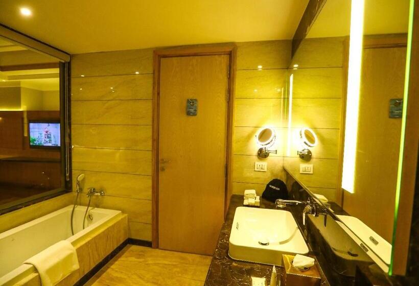 ジュニアスイート, Radisson Bhopal