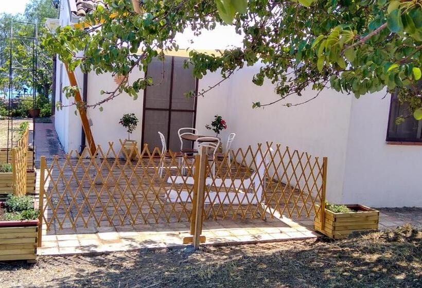 غرفة قياسية, Tenuta Rara Avis