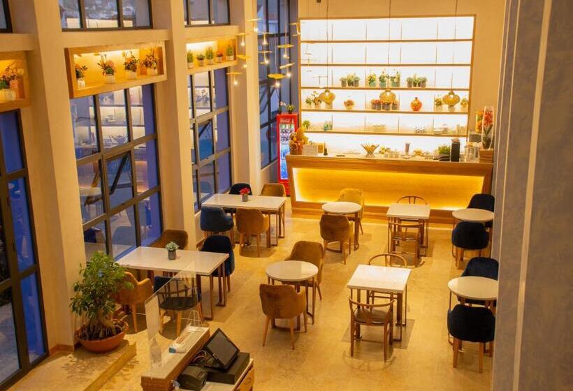 小型套房带阳台, Vancii