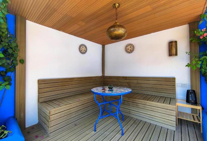 小型套房带阳台, Vancii