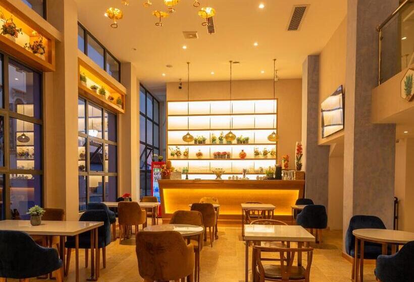 豪华房间, Vancii