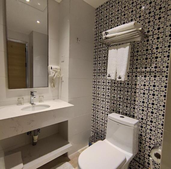 带大床的豪华间, Vancii