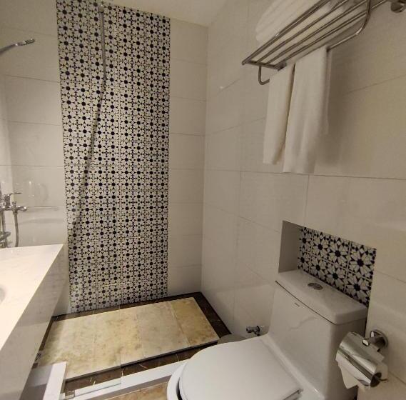 豪华房间, Vancii