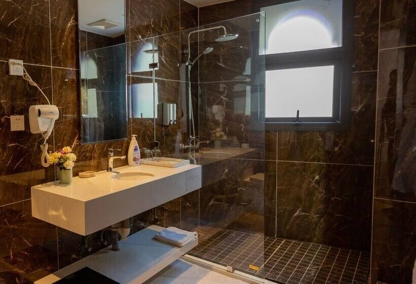 小型豪华套房, Vancii