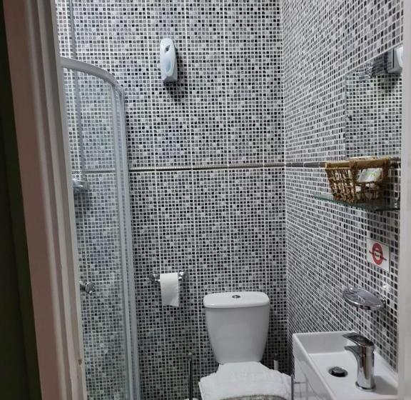 غرفة قياسية مطلة على الجبل, The Ancient Briton