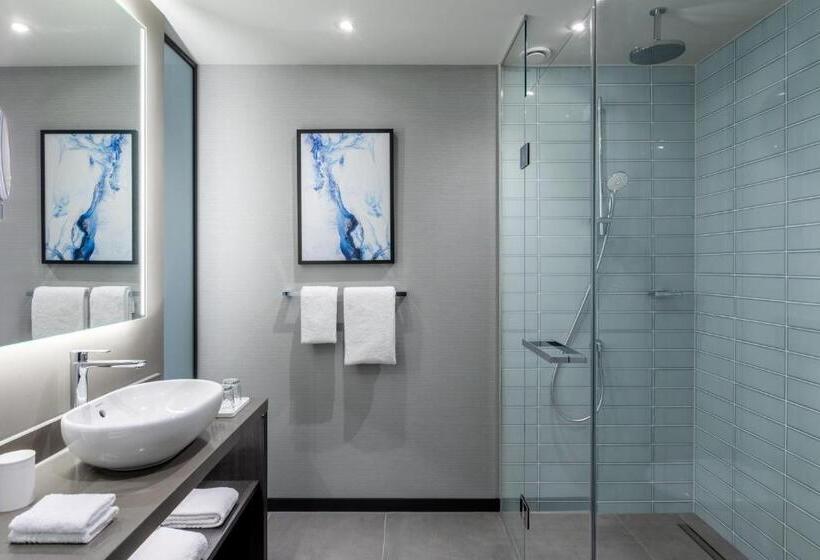 اتاق سوپریور با چشم‌انداز شهر, The Den, Shertogenbosch, A Tribute Portfolio