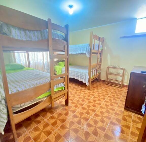 اتاق استاندارد چهارنفره با سرویس بهداشتی مشترک, Hospedaje Anais