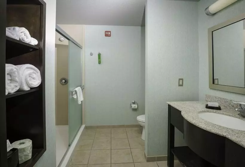 ダブルベッドのスタンダードスタジオ, Hampton Inn & Suites Suisun City Waterfront