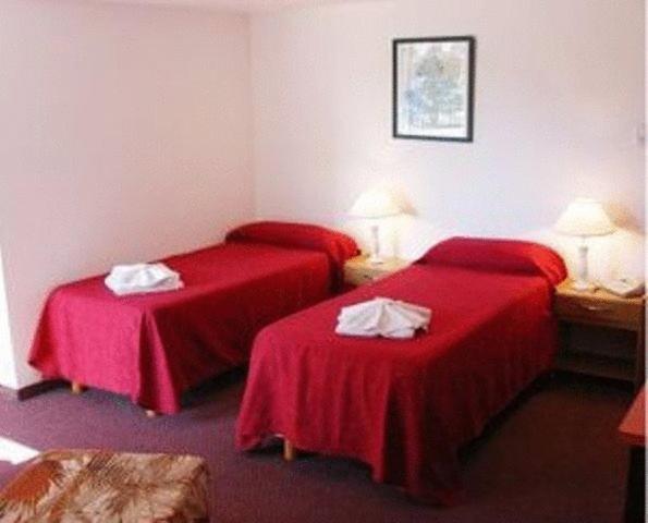 Номер Стандарт, El Cid